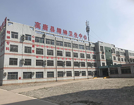 智慧醫(yī)院管理系統案例-高唐康恒精神病醫(yī)院